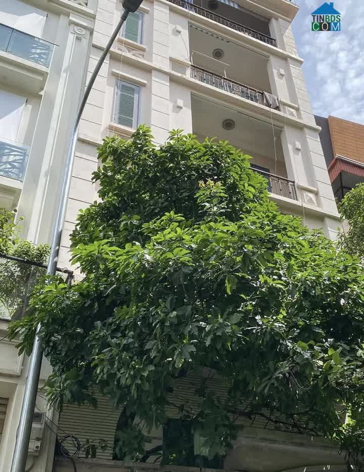Ảnh Nhà đẹp mặt phố Đống Đa, 110m x 7tầng, thang máy, gara, vỉa hè, đắc địa kinh doanh 0