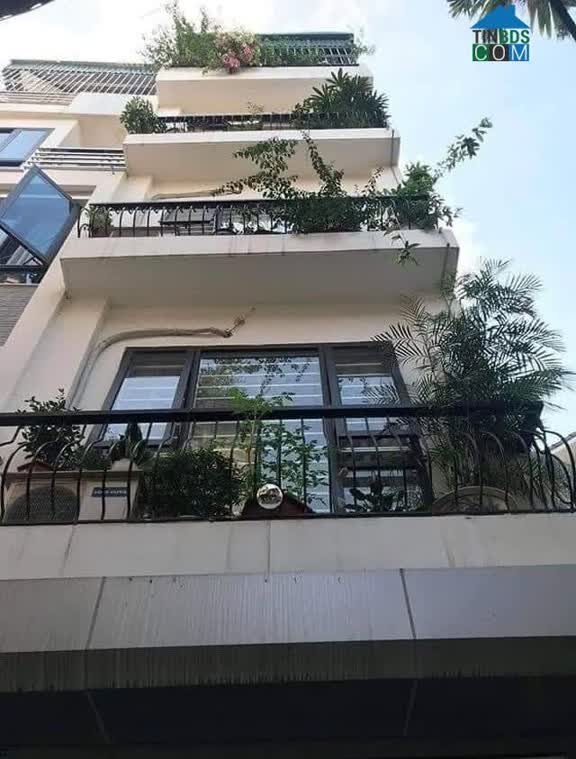 Ảnh Bán nhà phân lô Hoàng Mai, ô tô đỗ cửa, 55m, giá 5.7 tỷ 0