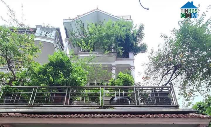 Ảnh BÁN NHÀ HOÀNG MAI - 20M RA OTO - NGÕ THÔNG - DT 55M2 - 5T - MẶT TIỀN: 3.6m - 5.3 TỶ - Ở SƯỚNG 0