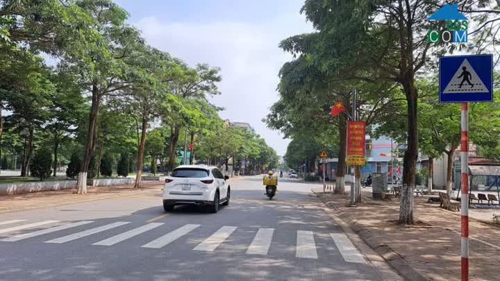 Ảnh Nhà Quận Hoàng Mai - DT 81M - Mặt Tiền 4.2m - 6.9 Tỷ - Ngôi Sao Sáng Trong Làng 0