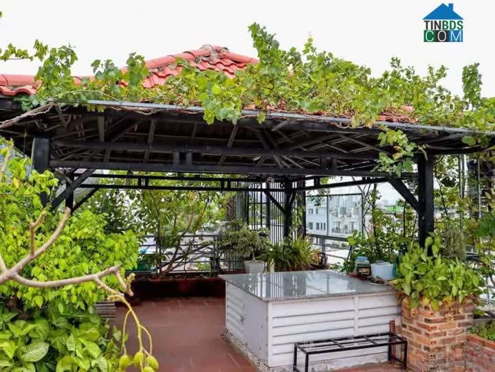 Ảnh Mặt Tiền Đường 38-Tặng Full Nội Thất-Khu Phân Lô- 52M2 Nhỉnh 7 Tỷ- Nhanh Tay Sở Hữu Ngay 0