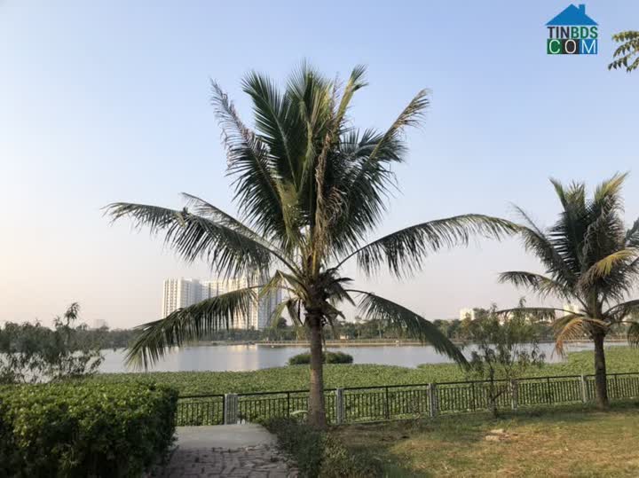 Ảnh Cần bán gấp Liền kề A1.2 kđt Thanh Hà Cienco 5 giá cắt lỗ 0