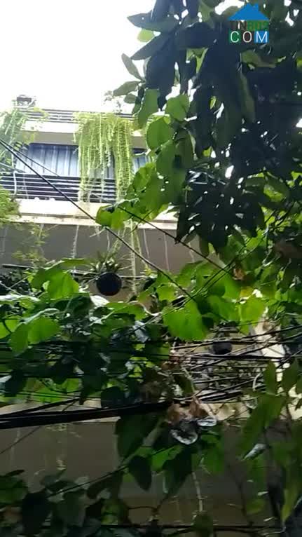 Ảnh NGUYỄN VĂN HUYÊN - 32m2, 4 tầng, MT 3.8m - sát phố vuông vắn, nở hậu - 3.71 tỷ 0