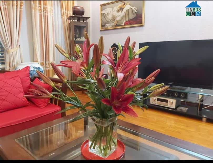 Ảnh Cần Bán Gấp Nhà Phân Lô Nguyễn Chí Thanh - Đống Đa 103m2, mặt tiền 5.1m, Giá 17.5 tỷ LH:... 0