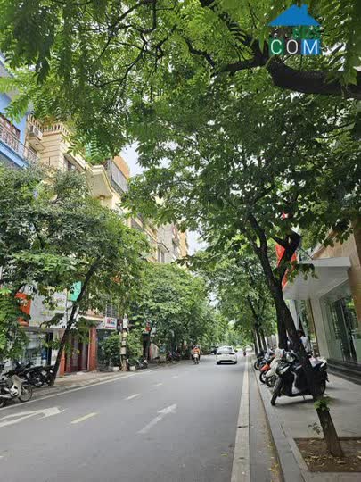 Ảnh Hiếm Nhất Phân Lô Hoàng Cầu - Thang Máy Nhập, Ô Tô Tránh. 75M X 6t. Giá 25 Tỷ 0