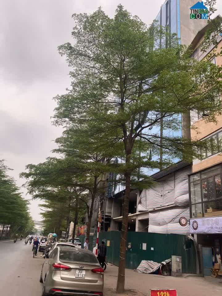 Ảnh Bán Gấp! Tòa Nhà Vip, Mặt Phố Đống Đa - Phố Láng 242m x 10T, Mt 22. Giá 215 tỷ. 0