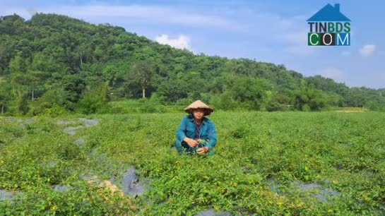 Hình ảnh Văn Lang, Na Rì, Bắc Kạn