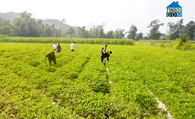 Hình ảnh Minh Quang, Lâm Bình, Tuyên Quang