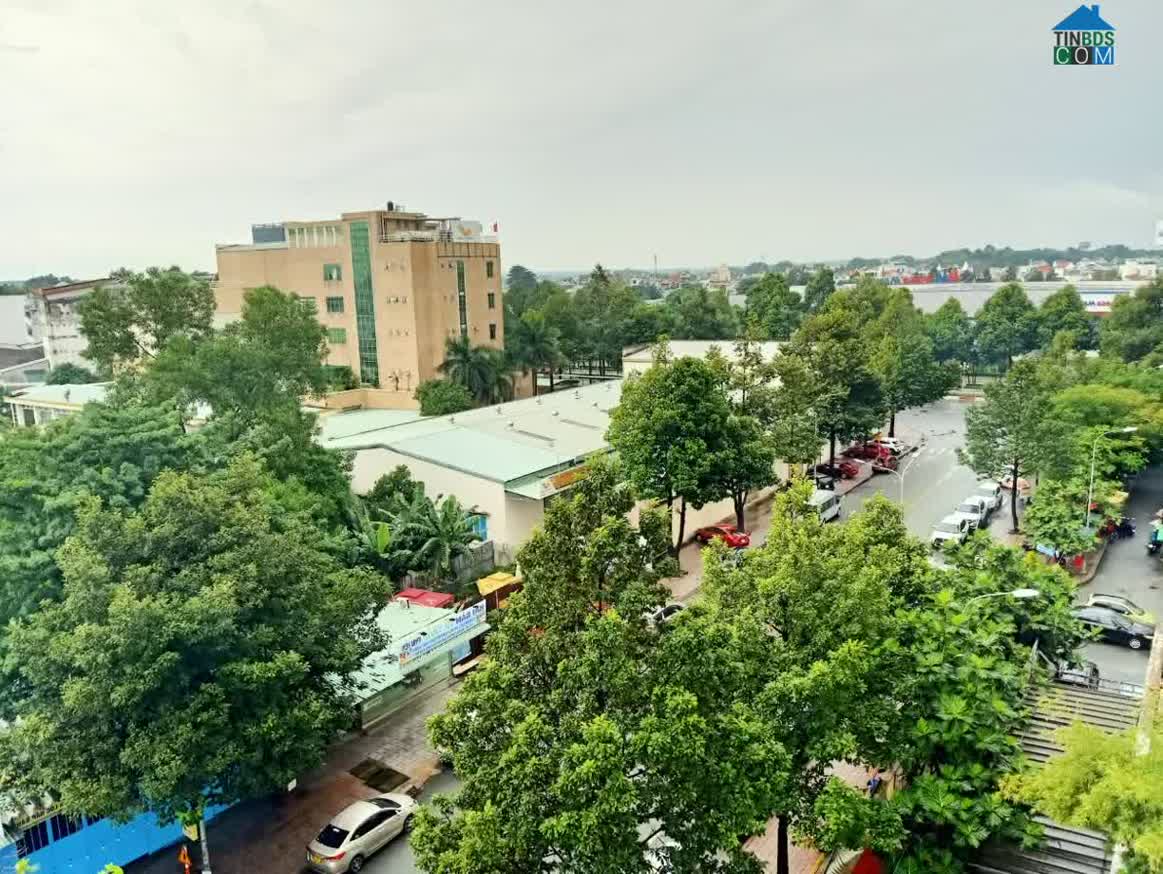 Hình ảnh Tân Long, Biên Hòa, Đồng Nai