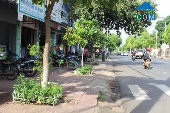 Hình ảnh Đào Duy Từ, Buôn Ma Thuột, Đắk Lắk