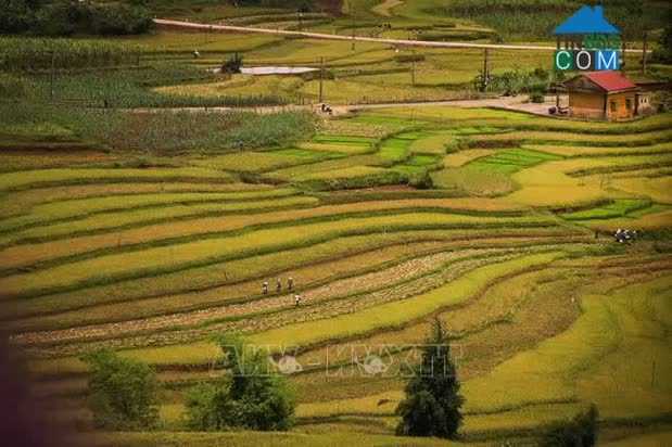 Hình ảnh Thạch Yên, Cao Phong, Hòa Bình