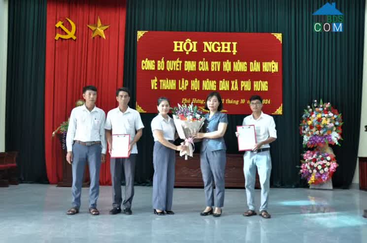 Hình ảnh Phú Hưng, Ý Yên, Nam Định