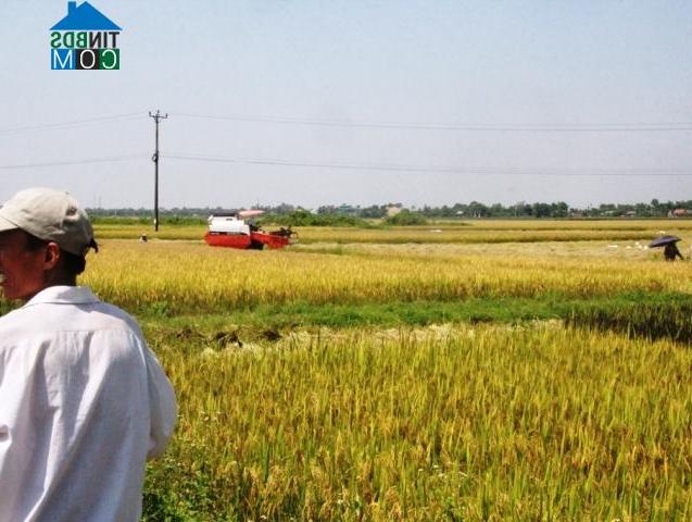 Hình ảnh Hương Long, Phú Xuân, Huế