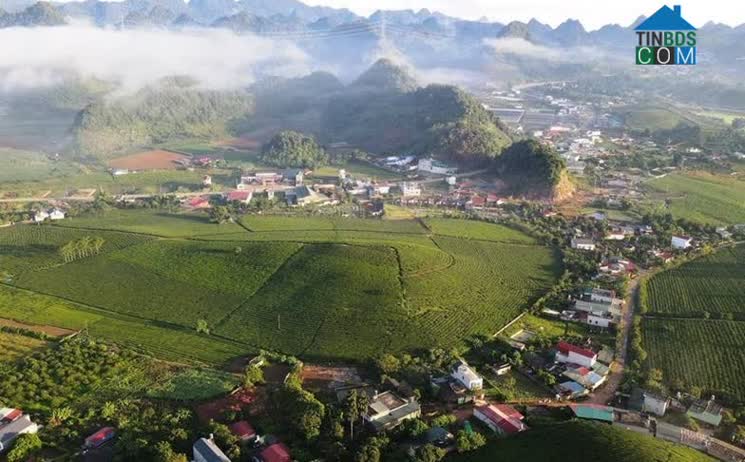 Hình ảnh Tân Yên, Mộc Châu, Sơn La