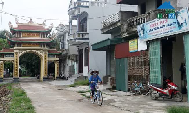 Hình ảnh Tòng Bạt, Ba Vì, Hà Nội