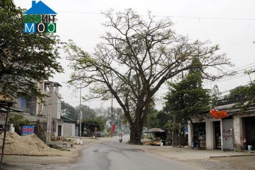 Hình ảnh Lam Điền, Chương Mỹ, Hà Nội