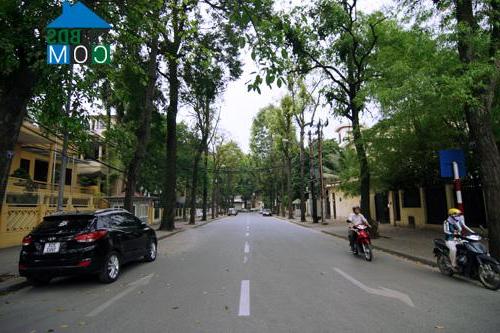 Hình ảnh Huyện Thanh Quan, Ba Đình, Hà Nội