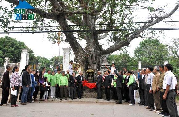 Hình ảnh Hùng Tiến, Mỹ Đức, Hà Nội