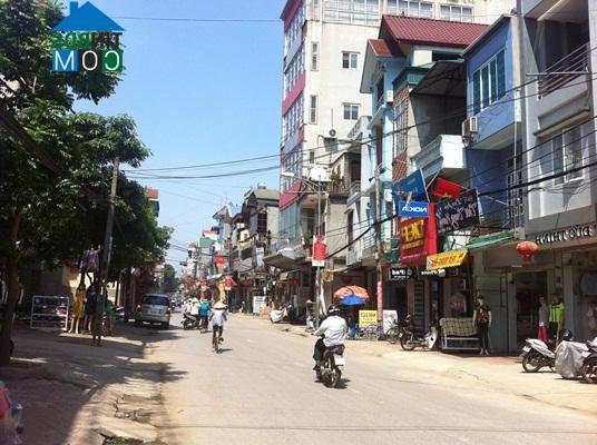 Huyện Quốc Oai (Hà Nội) đấu giá 28 thửa đất