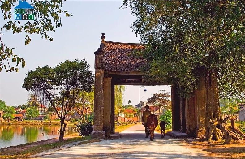 Hình ảnh Phú Thịnh, Sơn Tây, Hà Nội