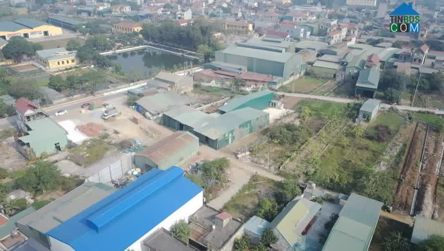 Hình ảnh Văn Tự, Thường Tín, Hà Nội