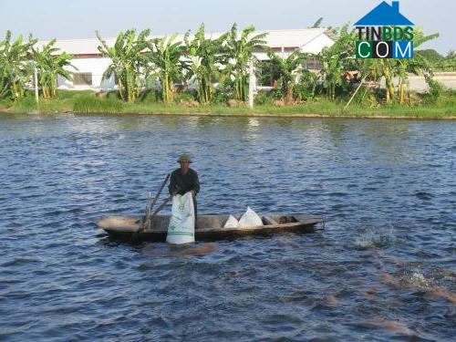 Hình ảnh Văn Tố, Tứ Kỳ, Hải Dương