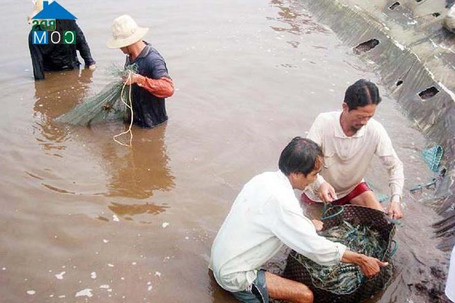 Hình ảnh Đông Thạnh, An Minh, Kiên Giang