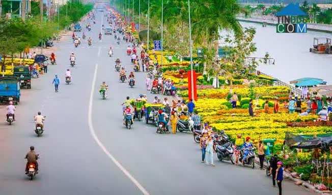 Hình ảnh Nguyễn Trãi, Ngã Bảy, Hậu Giang