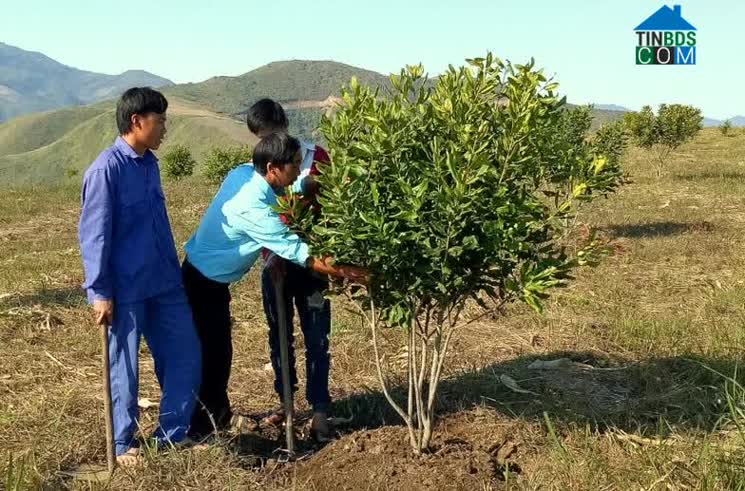 Hình ảnh Nậm Pì, Nậm Nhùn, Lai Châu