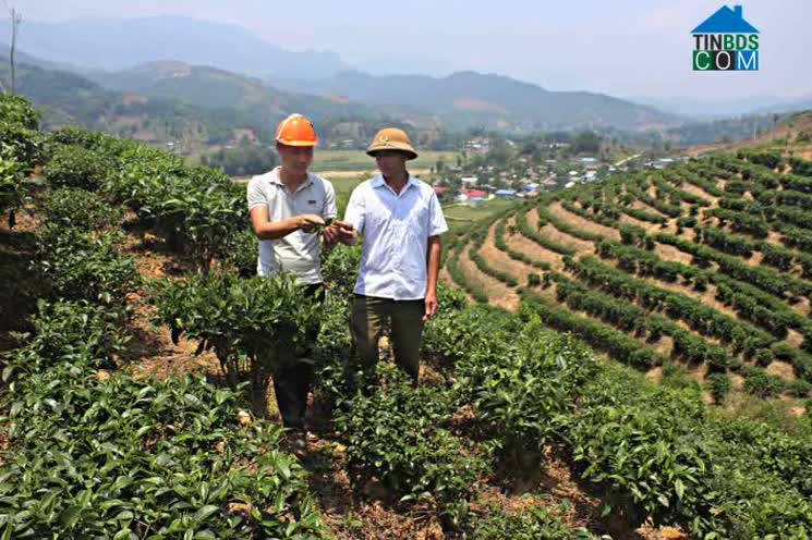 Hình ảnh Nà Tăm, Tam Đường, Lai Châu