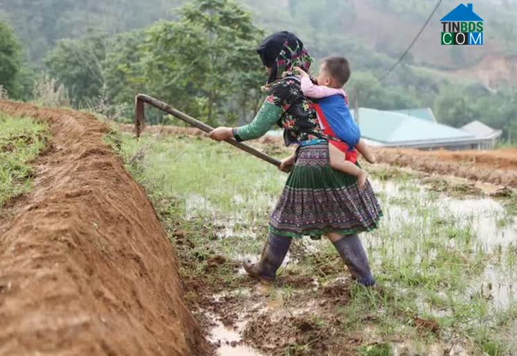 Hình ảnh Hố Mít, Tân Uyên, Lai Châu