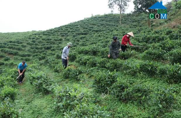 Hình ảnh Mường Khoa, Tân Uyên, Lai Châu