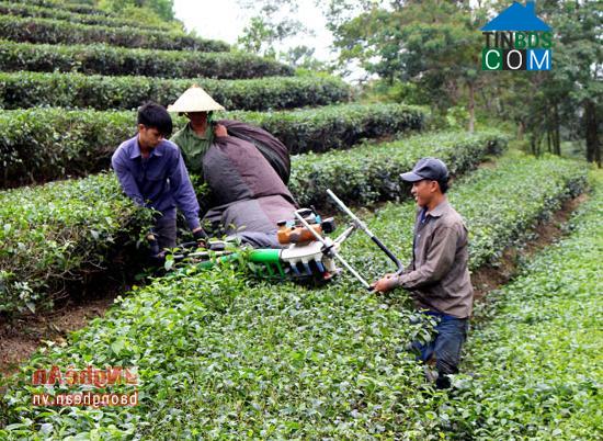 Hình ảnh Thanh Thịnh, Thanh Chương, Nghệ An