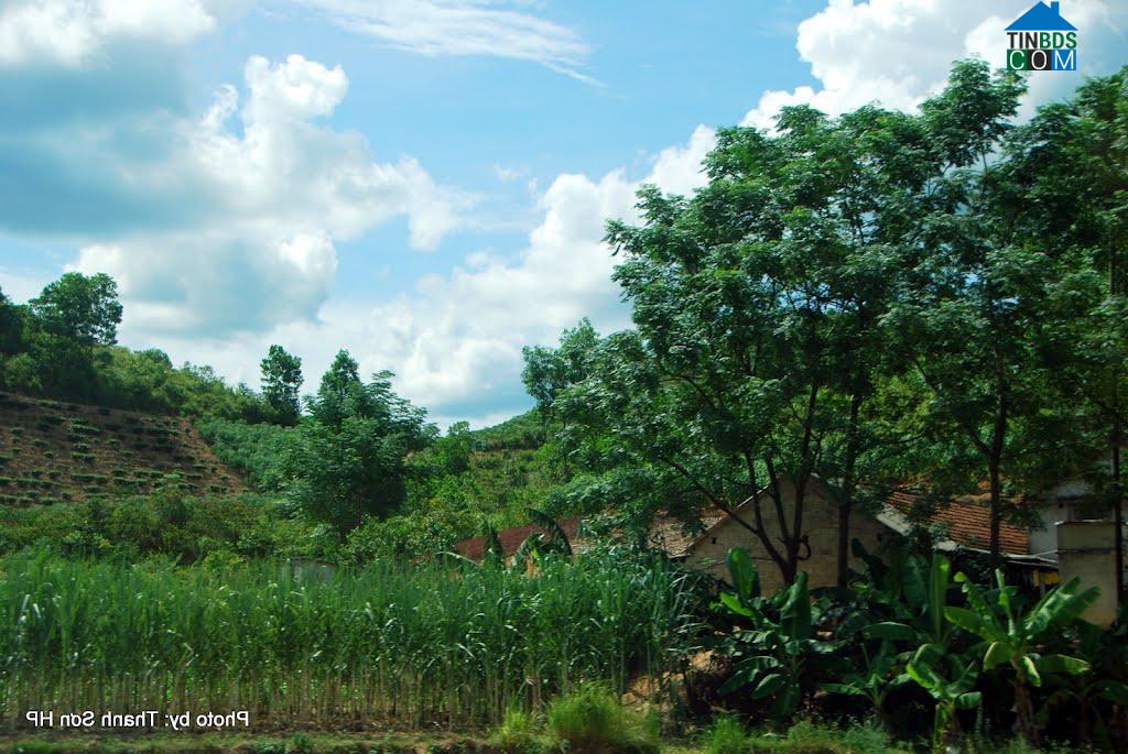 Hình ảnh Thanh Tường, Thanh Chương, Nghệ An