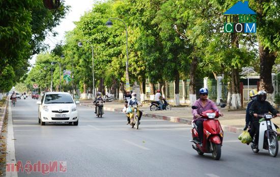 Hình ảnh Lê Mao, Vinh, Nghệ An