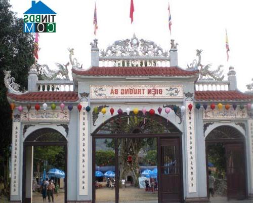Hình ảnh Trà Bồng, Quảng Ngãi