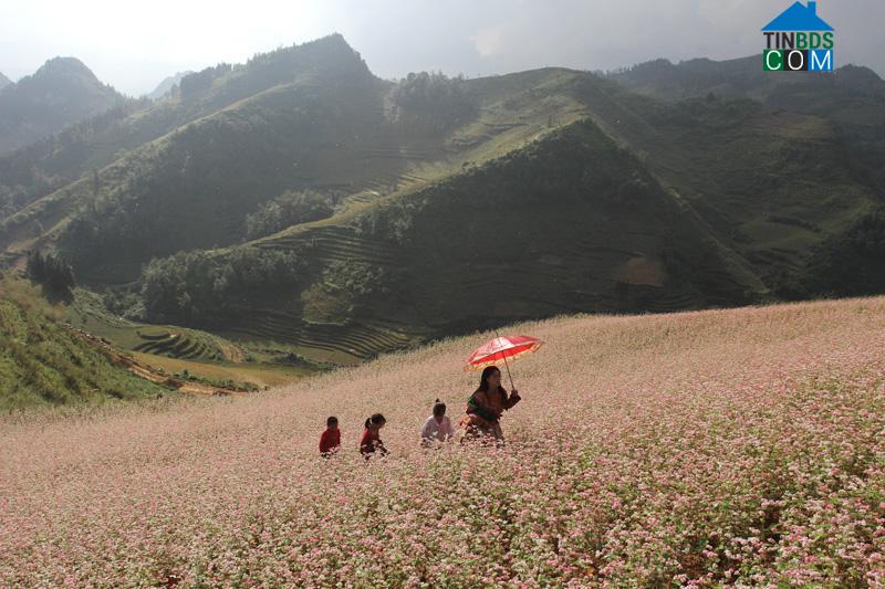 Hình ảnh Lử Thẩn, Xi Ma Cai, Lào Cai