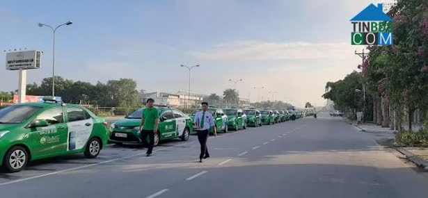 Hình ảnh Trần Anh Tông, Nam Định, Nam Định