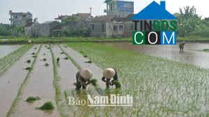 Hình ảnh Việt Hùng, Trực Ninh, Nam Định