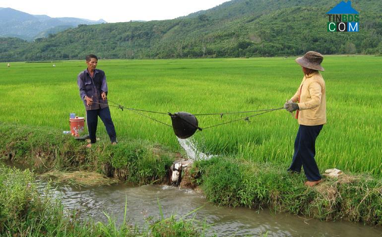 Hình ảnh Hòa Thịnh, Tây Hòa, Phú Yên