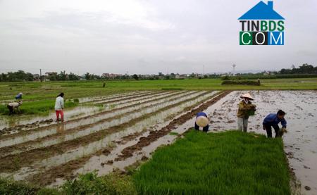 Hình ảnh Khánh Dương, Yên Mô, Ninh Bình