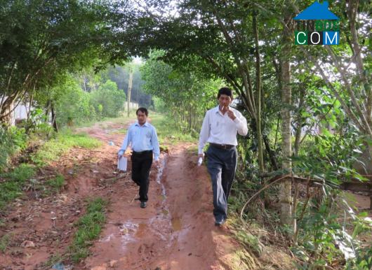 Hình ảnh Long Mai, Minh Long, Quảng Ngãi