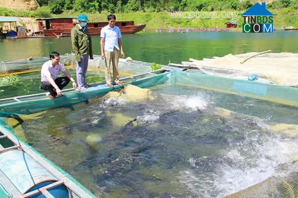 Hình ảnh Liệp Tè, Thuận Châu, Sơn La