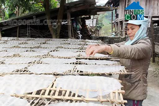 Hình ảnh Lóng Phiêng, Yên Châu, Sơn La