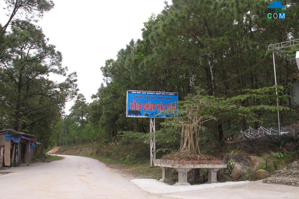 Hình ảnh Phương Đông, Uông Bí, Quảng Ninh