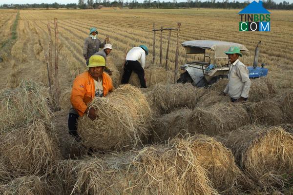 Hình ảnh Đại Ân, Trần Đề, Sóc Trăng