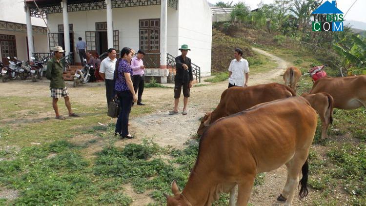 Hình ảnh Chiềng Chăn, Mai Sơn, Sơn La