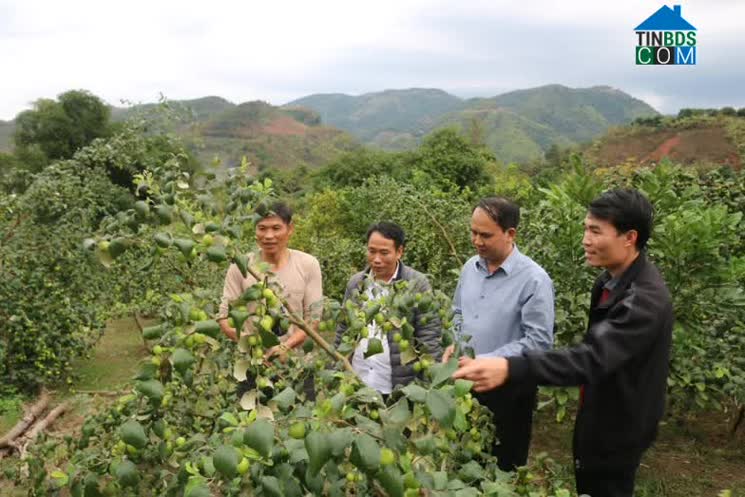 Hình ảnh Nậm Păm, Mường La, Sơn La