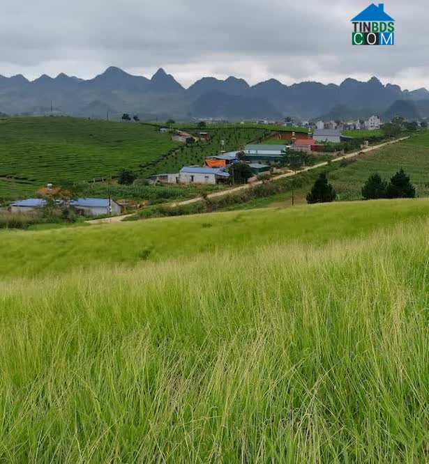 Hình ảnh Phiêng Luông, Mộc Châu, Sơn La