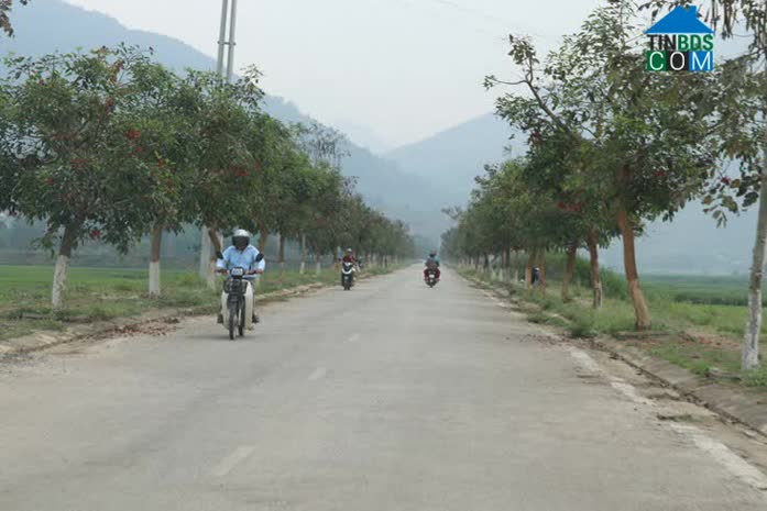 Hình ảnh Quang Huy, Phù Yên, Sơn La